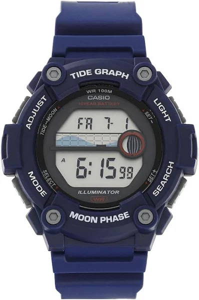 Zegarek Casio WS-1300H-2AVEF