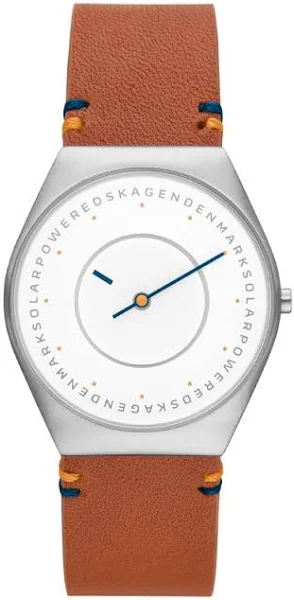 Zegarek Męski Skagen SKW6872