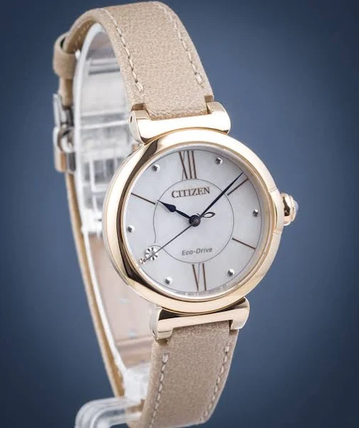 Citizen Zegarek EM1073-18D