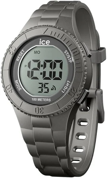 Zegarek Ice-Watch 021610