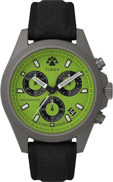 Zegarek męski Timex Expedition North Field TW2V96400