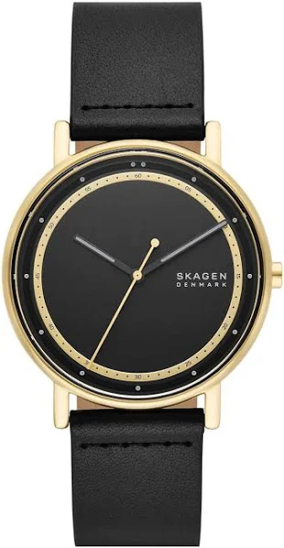 Zegarek Męski Skagen Signatur SKW6897
