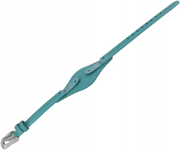 Pasek do Zegarka Fossil ES3221