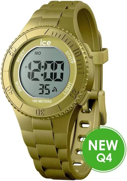 Zegarek Ice-Watch 021277