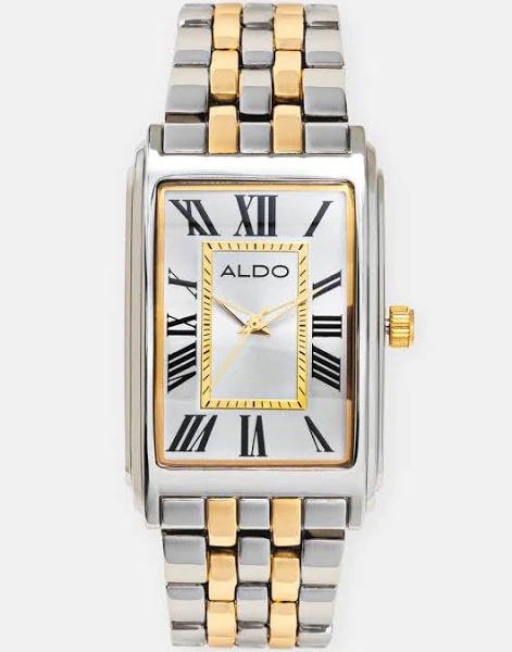 Aldo zegarek ASHCOTT męski kolor srebrny 13868564